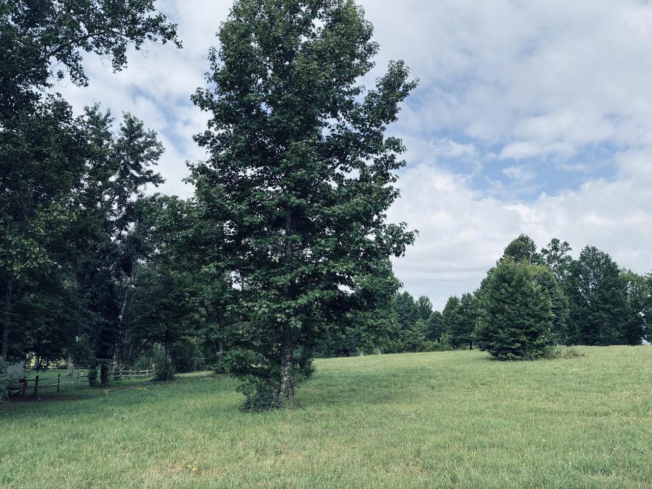 https://bt-photos.global.ssl.fastly.net/chattanooga/1280_boomver_1_1539098-2.jpg