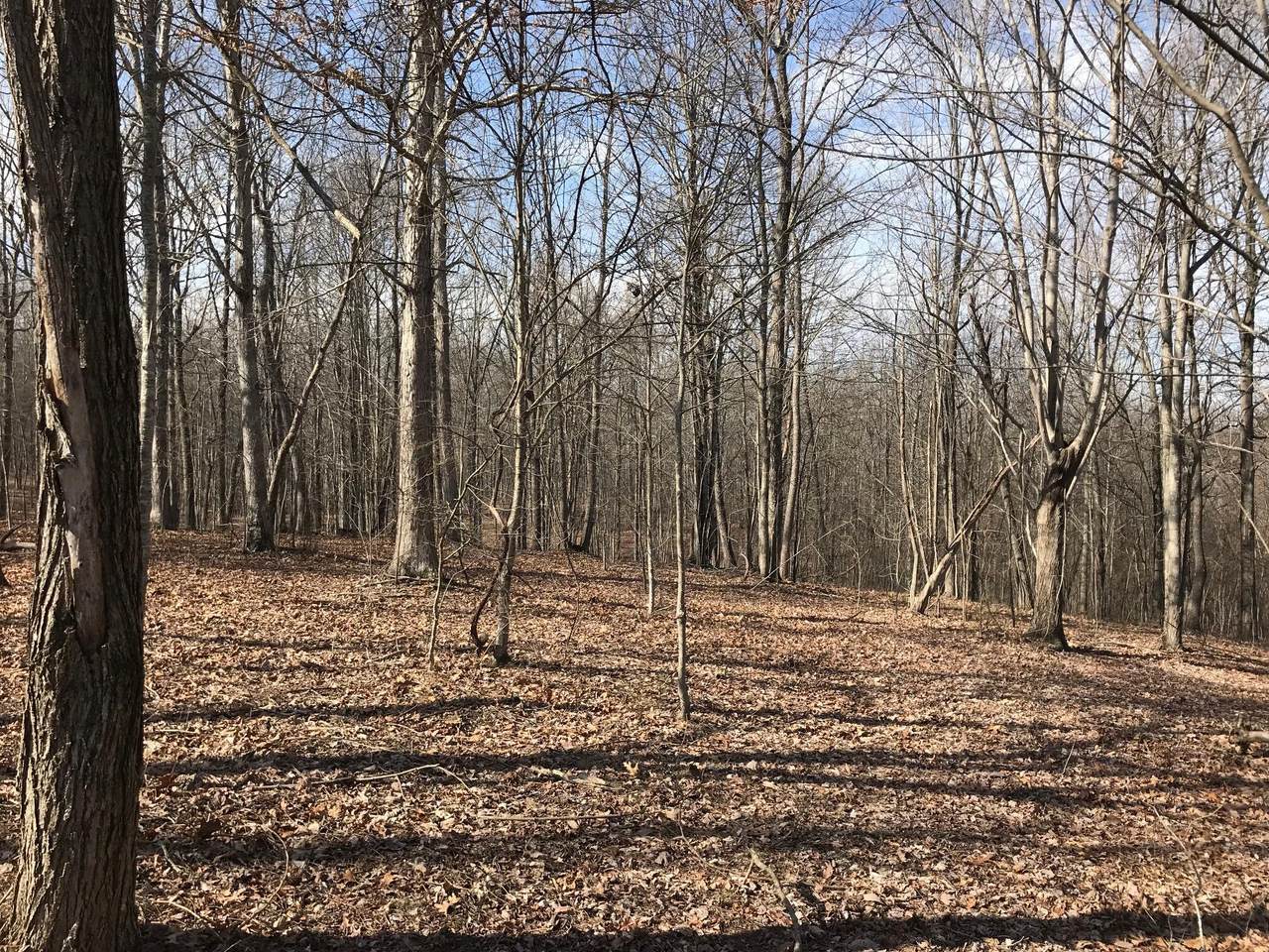 504 Wilderness Way - Photo 1