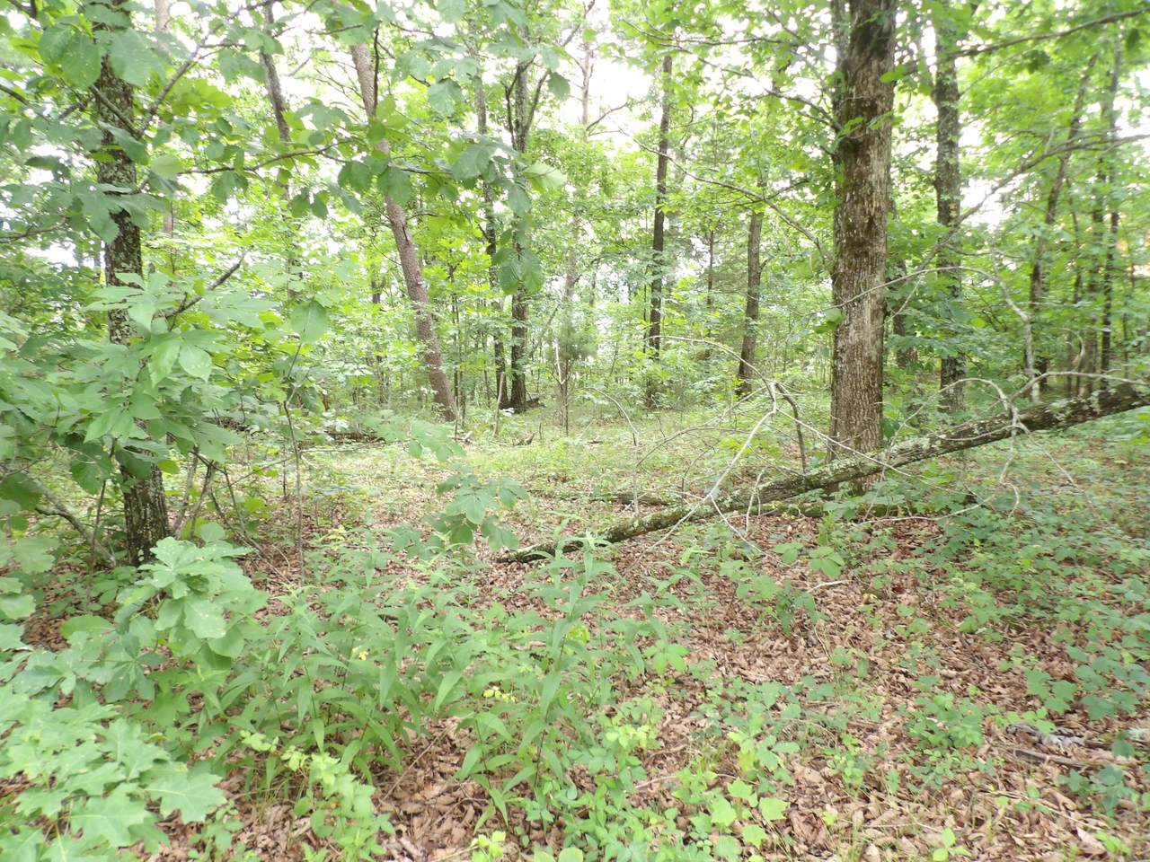 https://bt-photos.global.ssl.fastly.net/chattanooga/1280_boomver_1_1539226-2.jpg