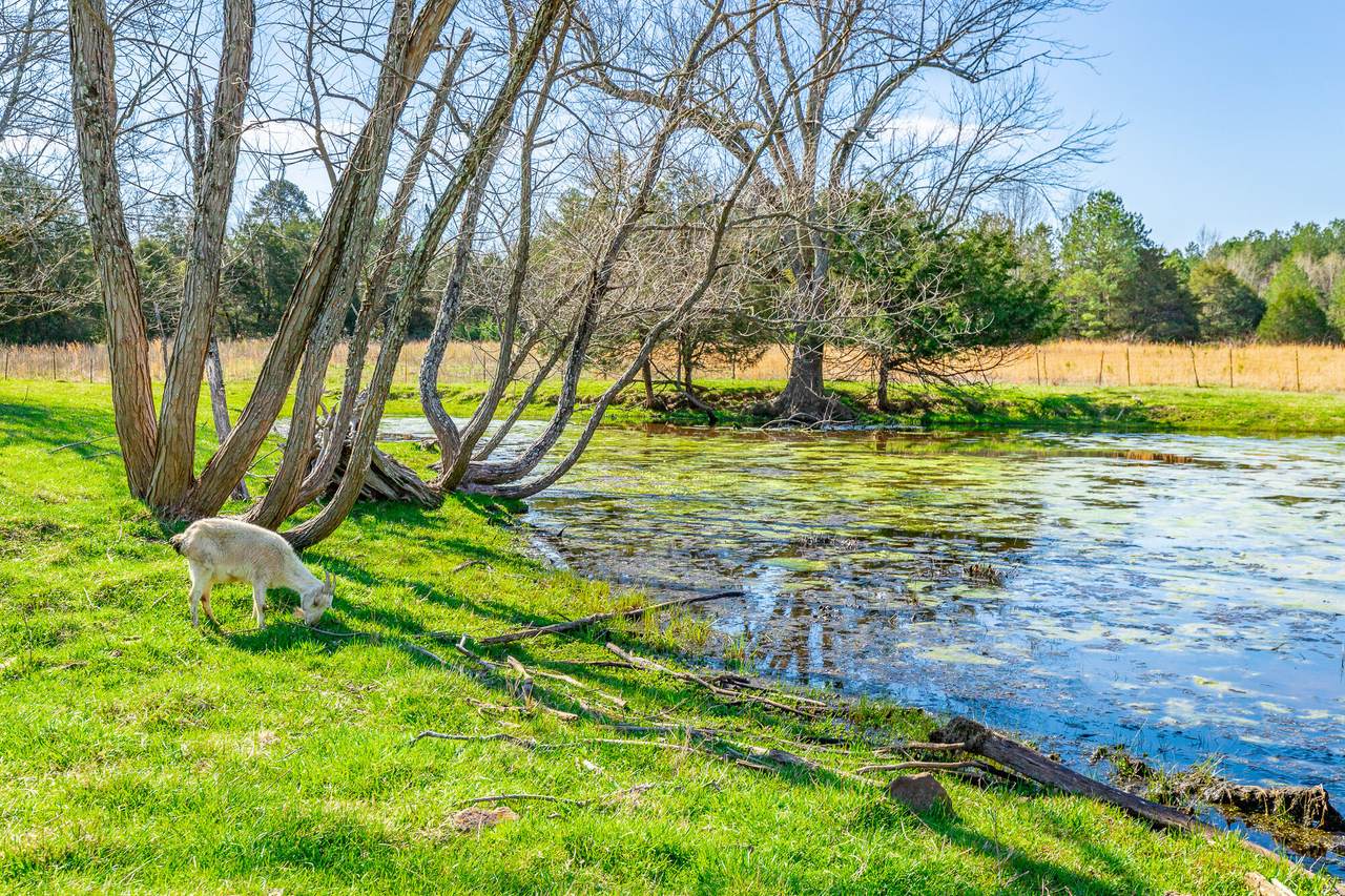 https://bt-photos.global.ssl.fastly.net/chattanooga/1280_boomver_1_1539456-2.jpg