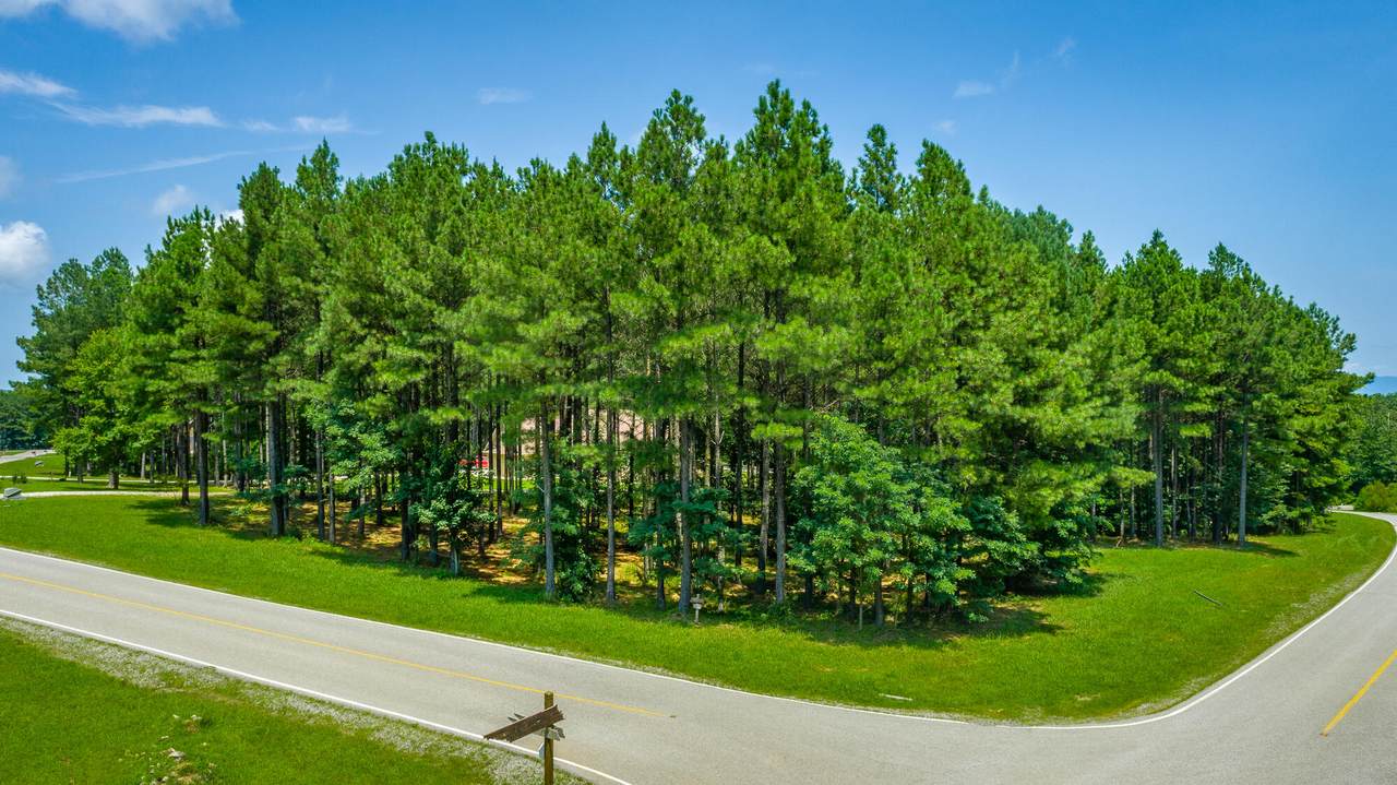 0-Rb74 River Bluffs Drive - Photo 1