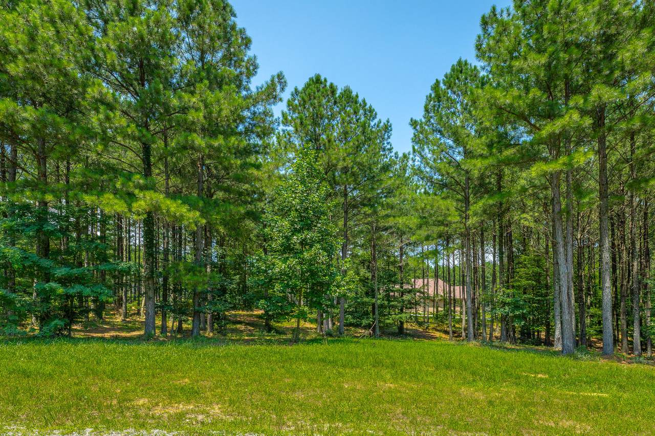 https://bt-photos.global.ssl.fastly.net/chattanooga/1280_boomver_1_1539692-2.jpg