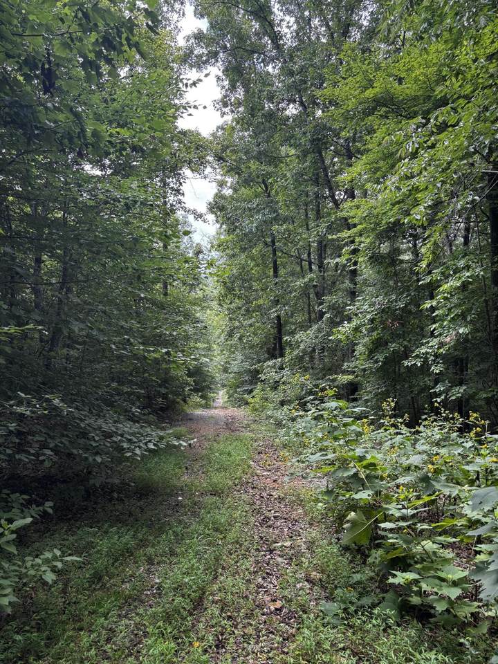 https://bt-photos.global.ssl.fastly.net/chattanooga/orig_boomver_1_1539993-2.jpg