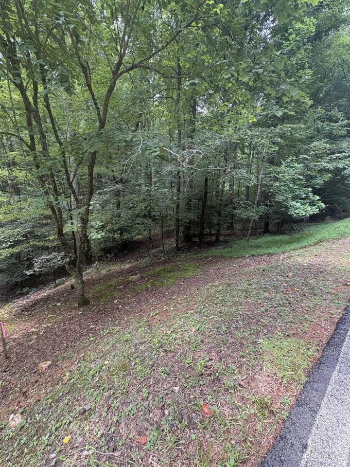 https://bt-photos.global.ssl.fastly.net/chattanooga/1280_boomver_1_1540100-2.jpg