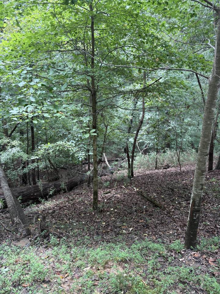 https://bt-photos.global.ssl.fastly.net/chattanooga/1280_boomver_1_1540101-2.jpg