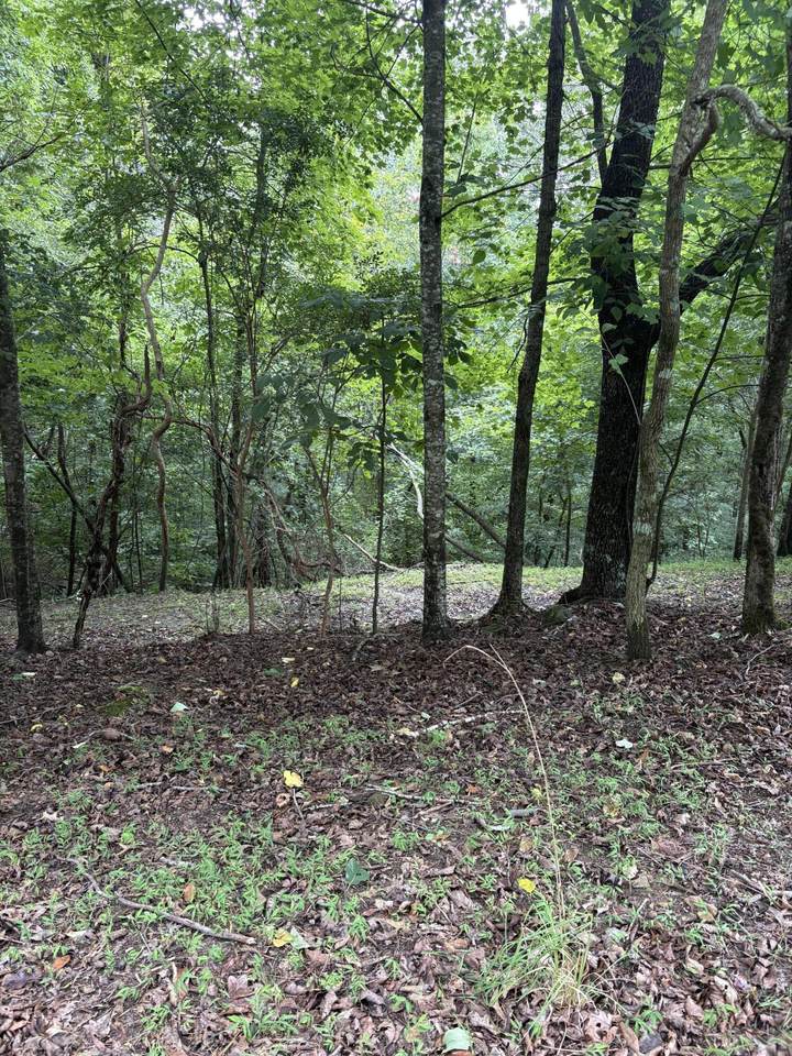 https://bt-photos.global.ssl.fastly.net/chattanooga/1280_boomver_1_1540101-2.jpg