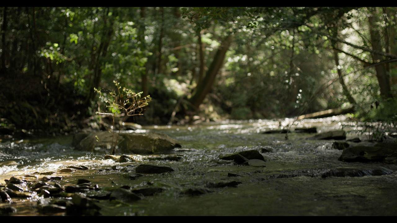 0 Barker Camp Road - Photo 1
