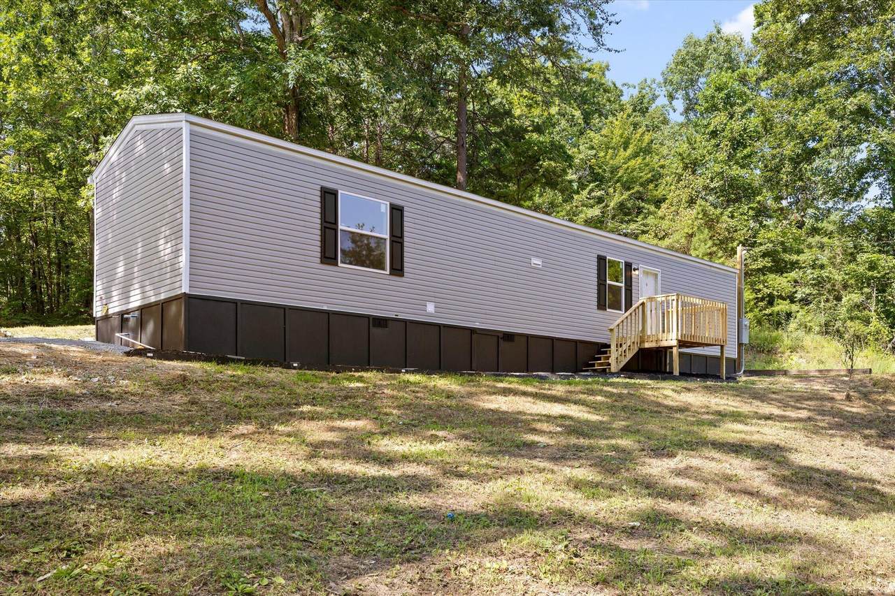 319 Scratch Ankle Road - Photo 1