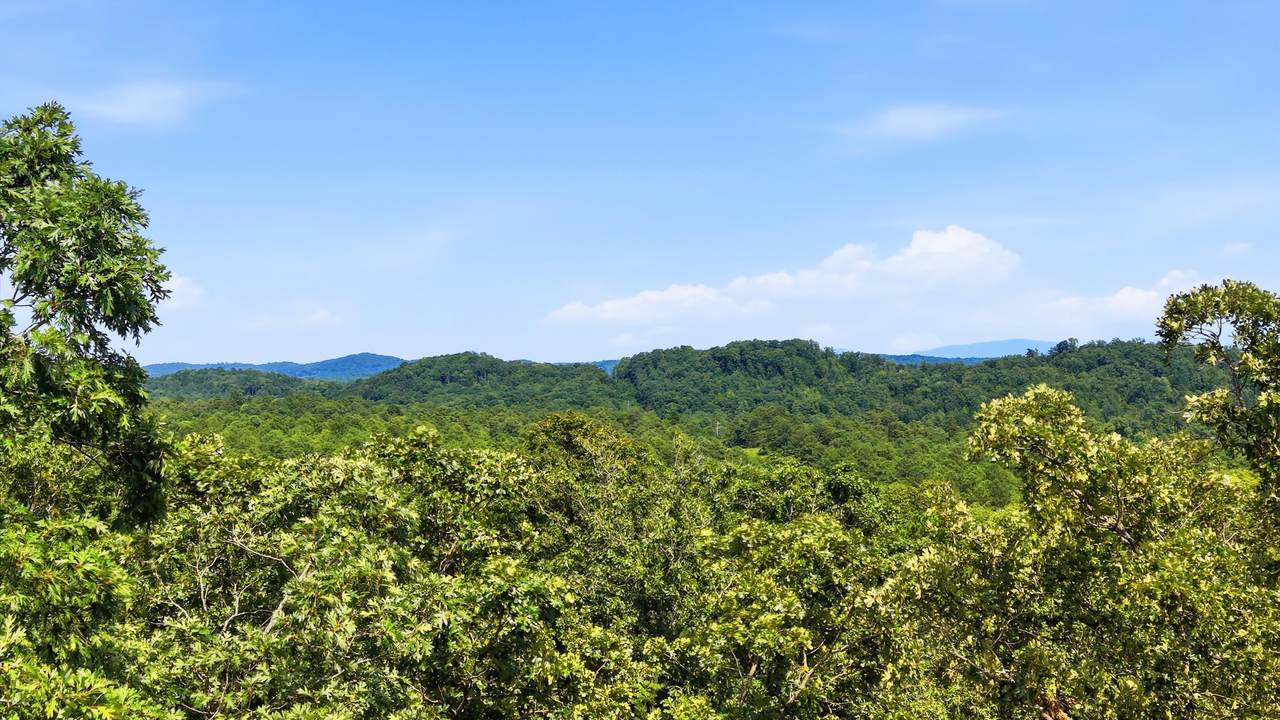 https://bt-photos.global.ssl.fastly.net/chattanooga/1280_boomver_1_1541382-2.jpg