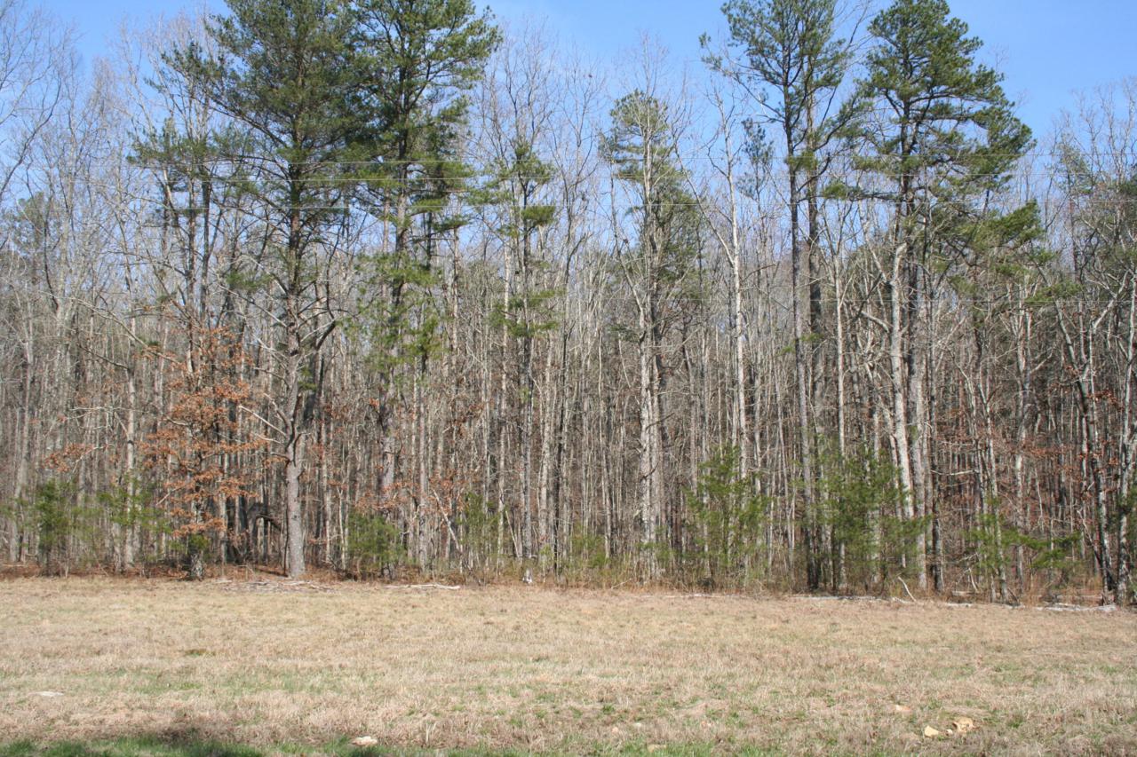 0 Scenic Hwy - Photo 1