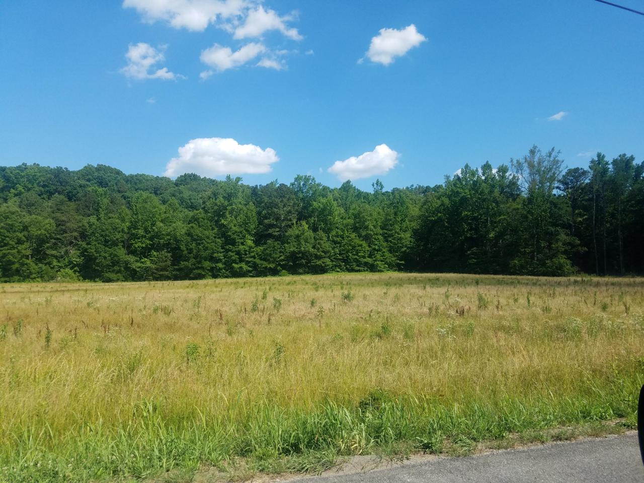 Tract 4 White Oak Valley Rd - Photo 1
