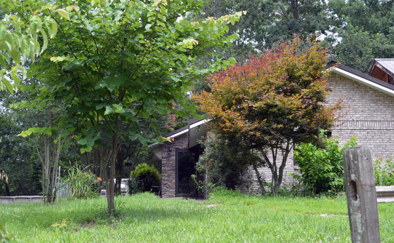 6617 Cooley Rd - Photo 1
