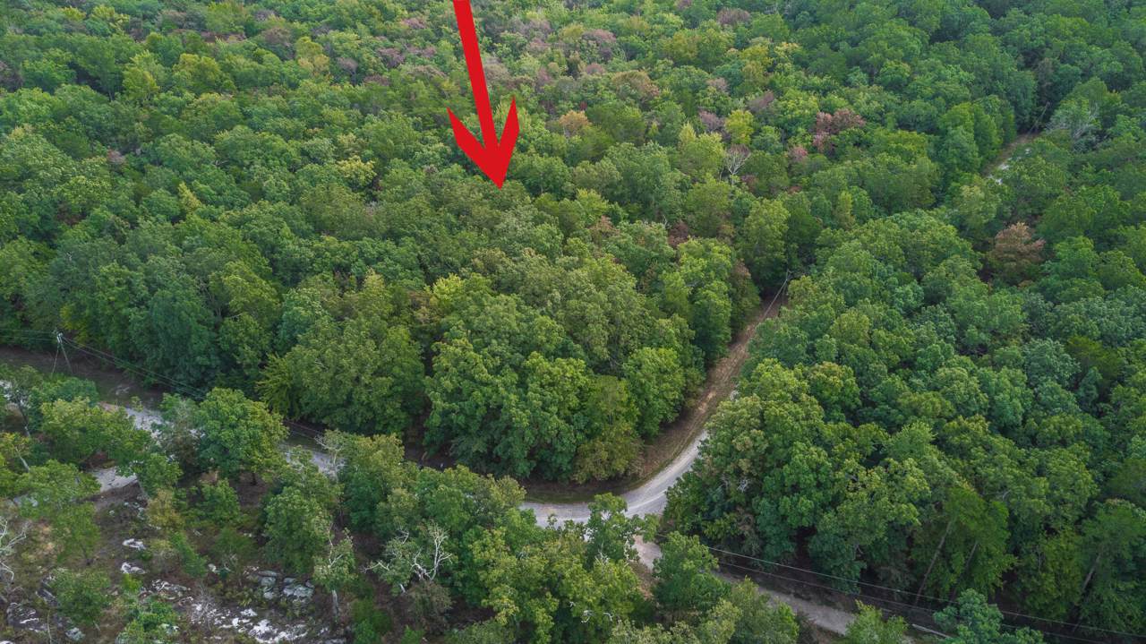 00 W Bluff Rd - Photo 1