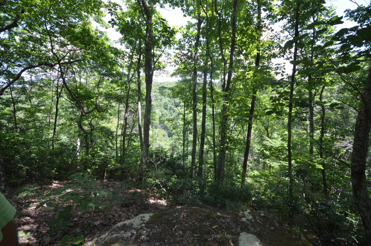 0 Bridal Veil - Photo 1