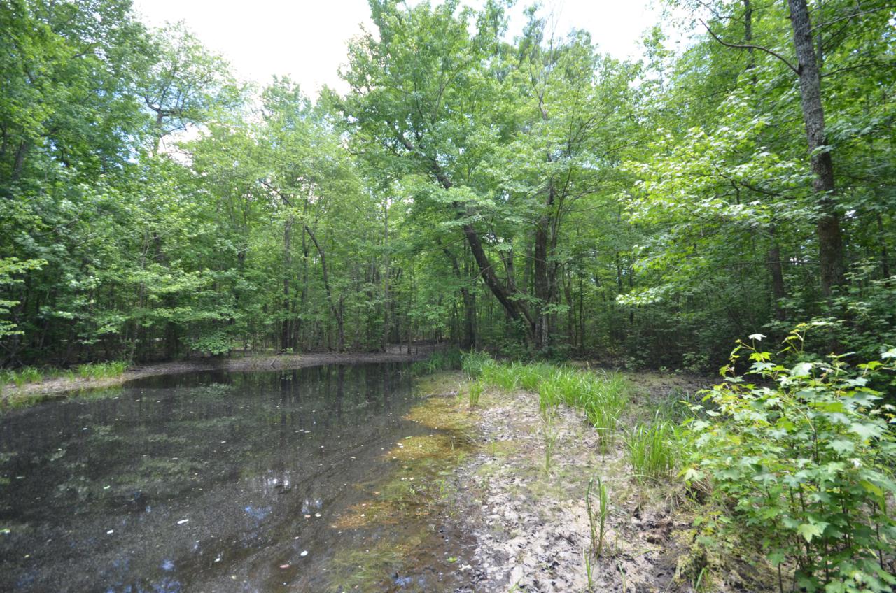 0 Bridal Veil - Photo 1