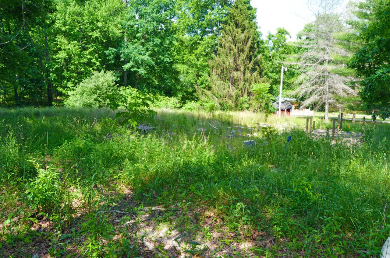 111 Plain View Lake Dr - Photo 1