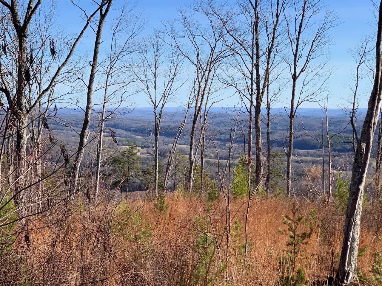https://bt-photos.global.ssl.fastly.net/chattanooga/1280_boomver_2_1292474-2.jpg