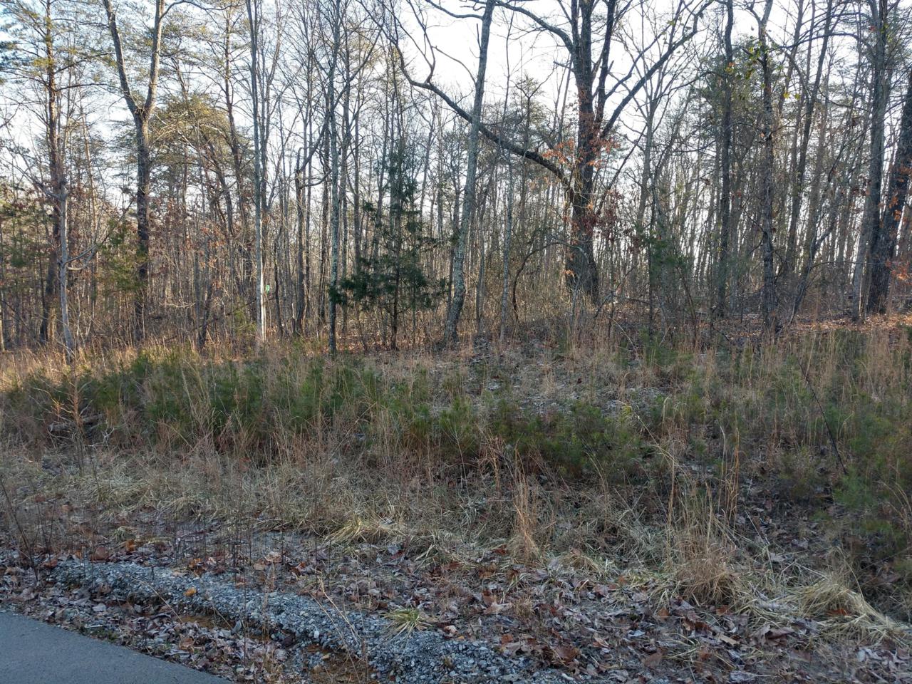4 Brentwood Ln - Photo 1