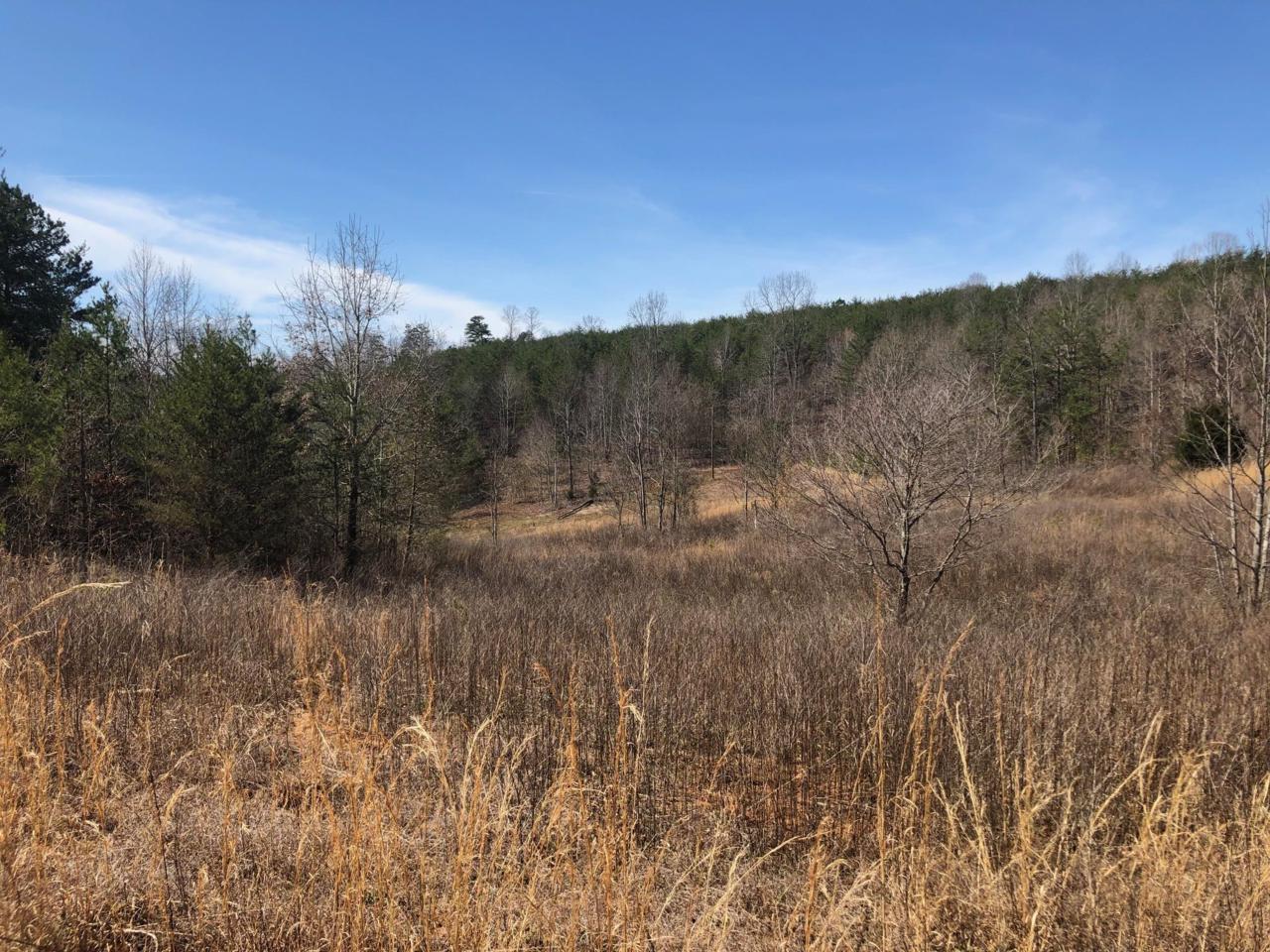 Tbd Dye Rd - Photo 1