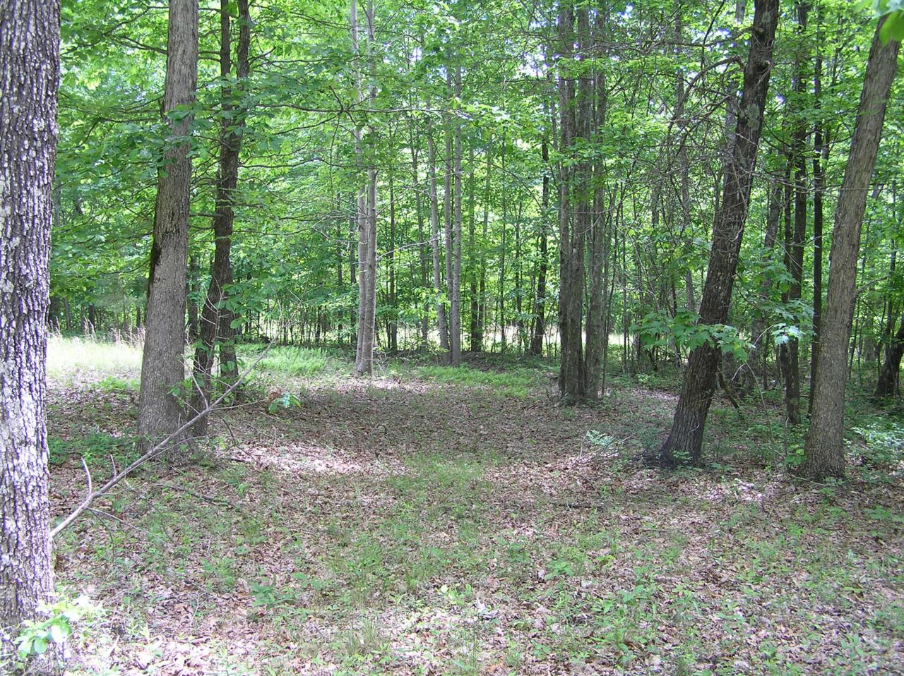 2 Lake Tr - Photo 1