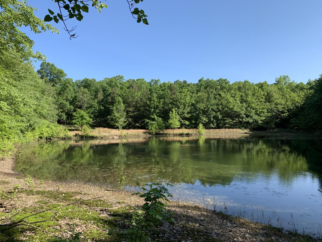 0 Lula Lake Rd. - Photo 1