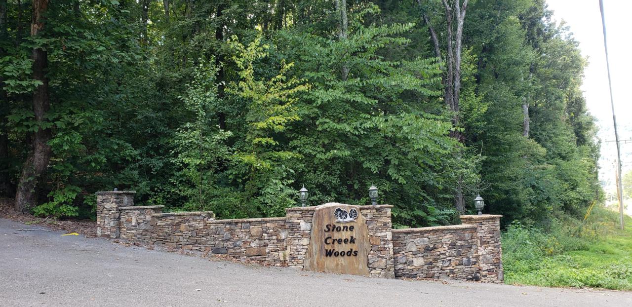 0 Shady Oaks Cove - Photo 1