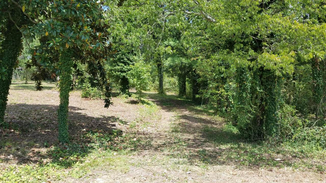 16 Acres Benton Pike Pike - Photo 1