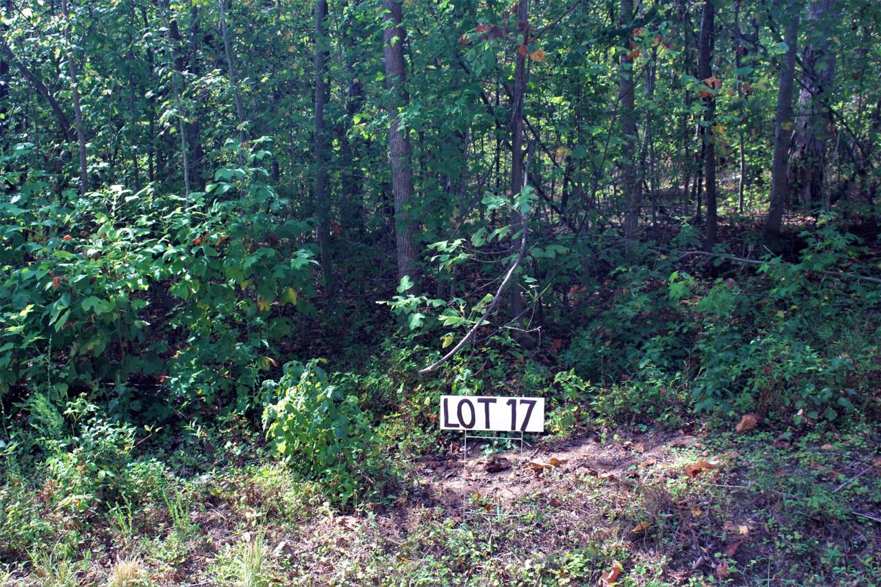 0017 Apache Tr - Photo 1