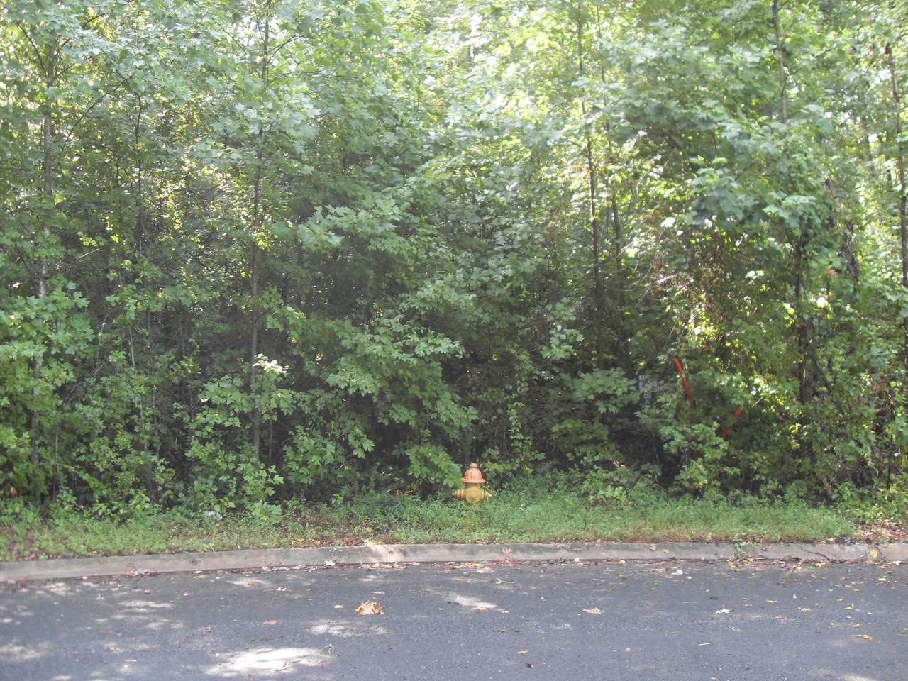 016 Loblolly Ln - Photo 1