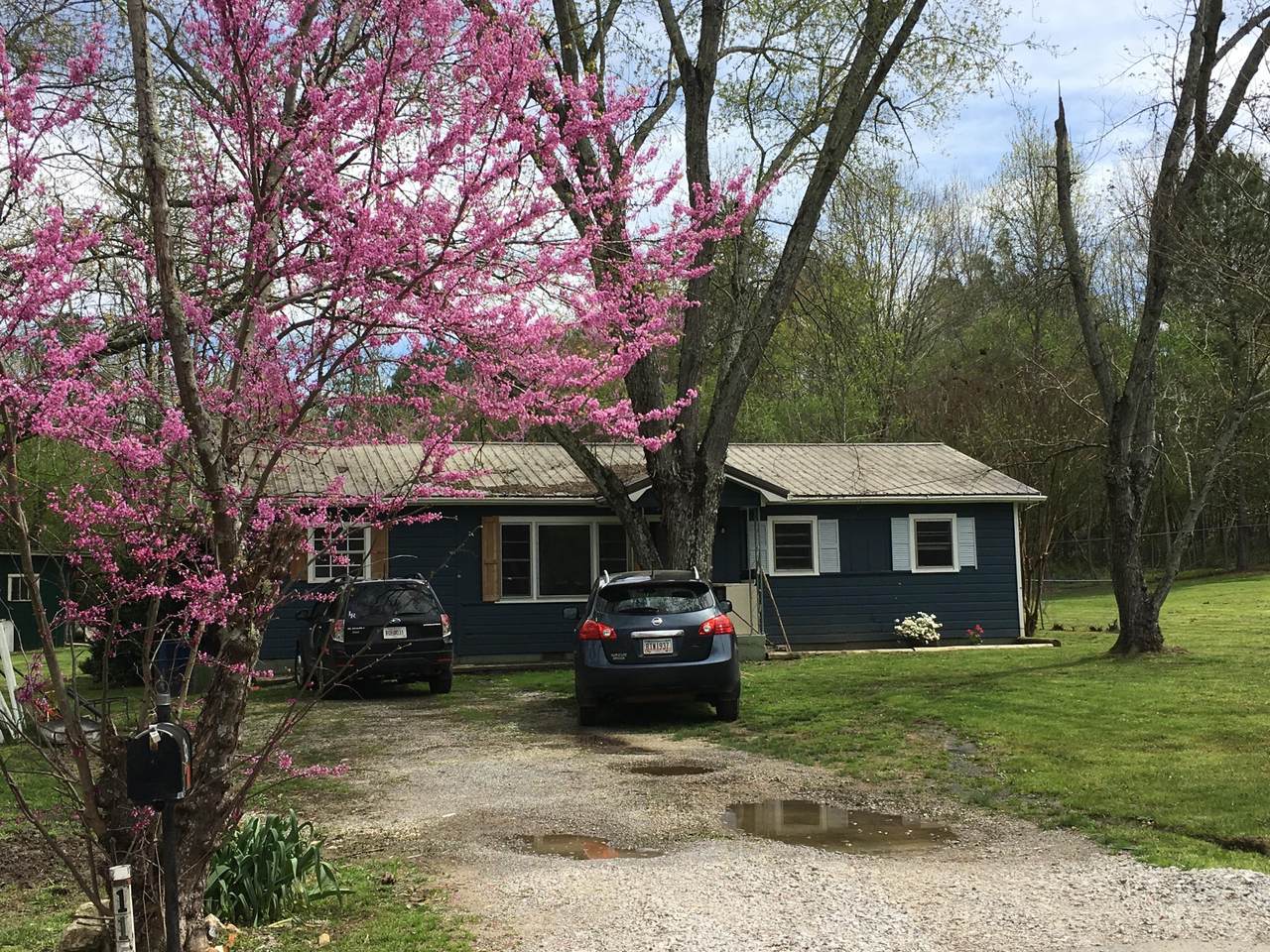115 Abney Dr - Photo 1 115 Abney Dr - Photo 1