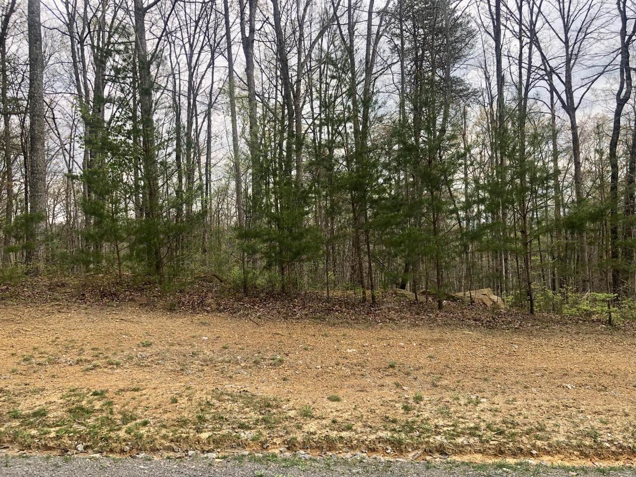 545 Wilderness Way - Photo 1