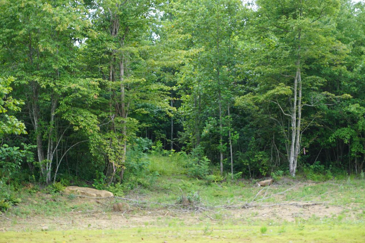 0 Raulston Falls Rd - Photo 1
