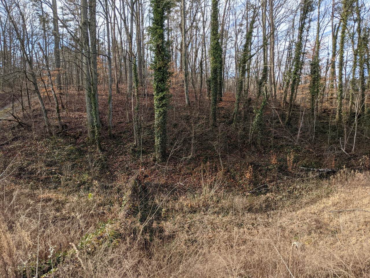 9308 Brainerd Rd - Photo 1