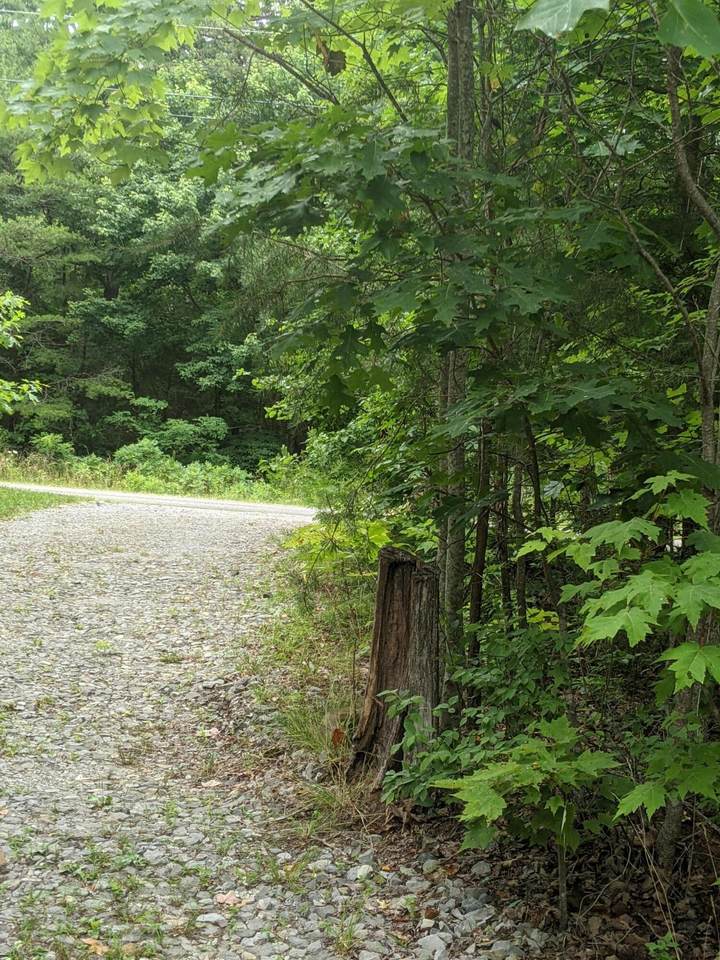 365 Leather Gap Rd - Photo 1