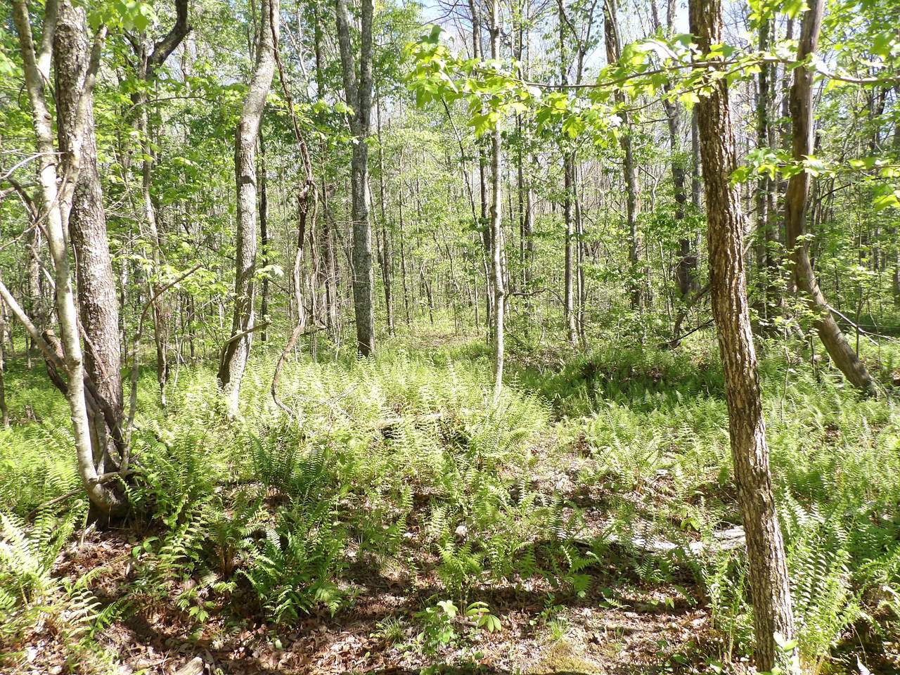 03 Cyrus Daniel Rd - Photo 1