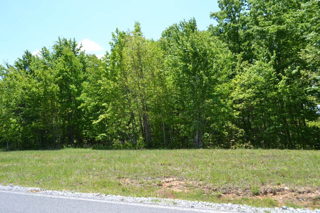 0 River Bluffs Dr - Photo 1