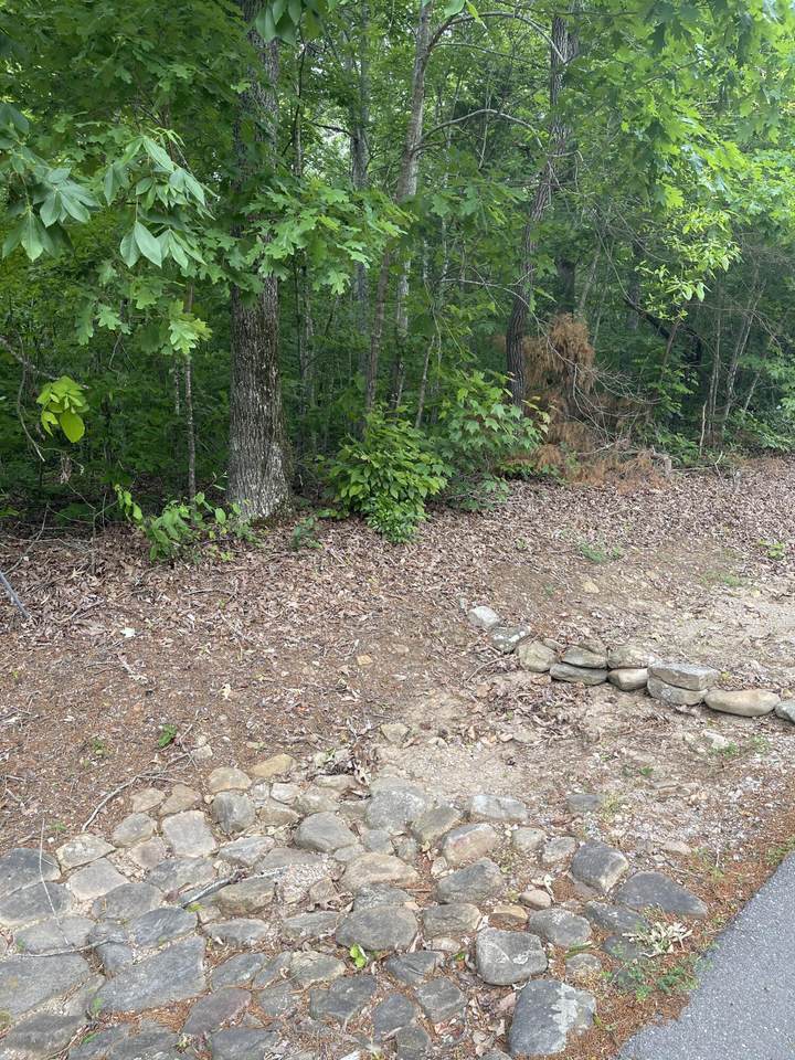 31 & 33 Blue Sewanee Rd - Photo 1
