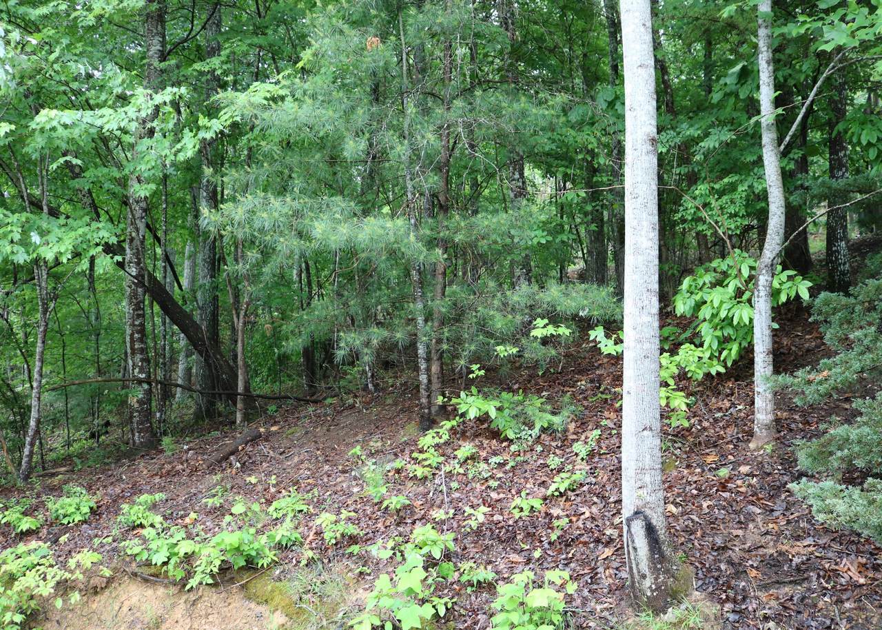 68 Chelteham Ln - Photo 1