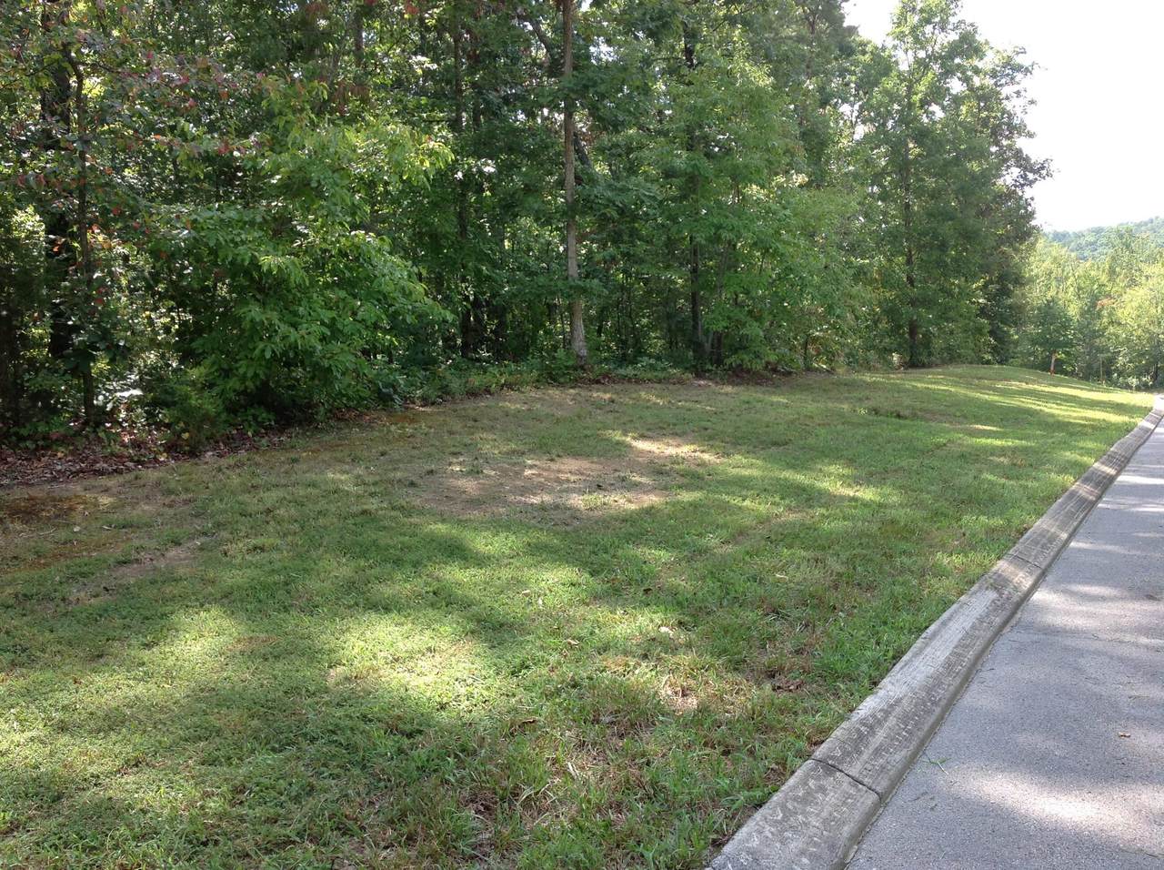 363 Ridgeway Pass - Photo 1