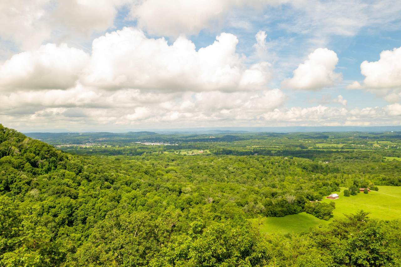 8964 Firetower Rd - Photo 1