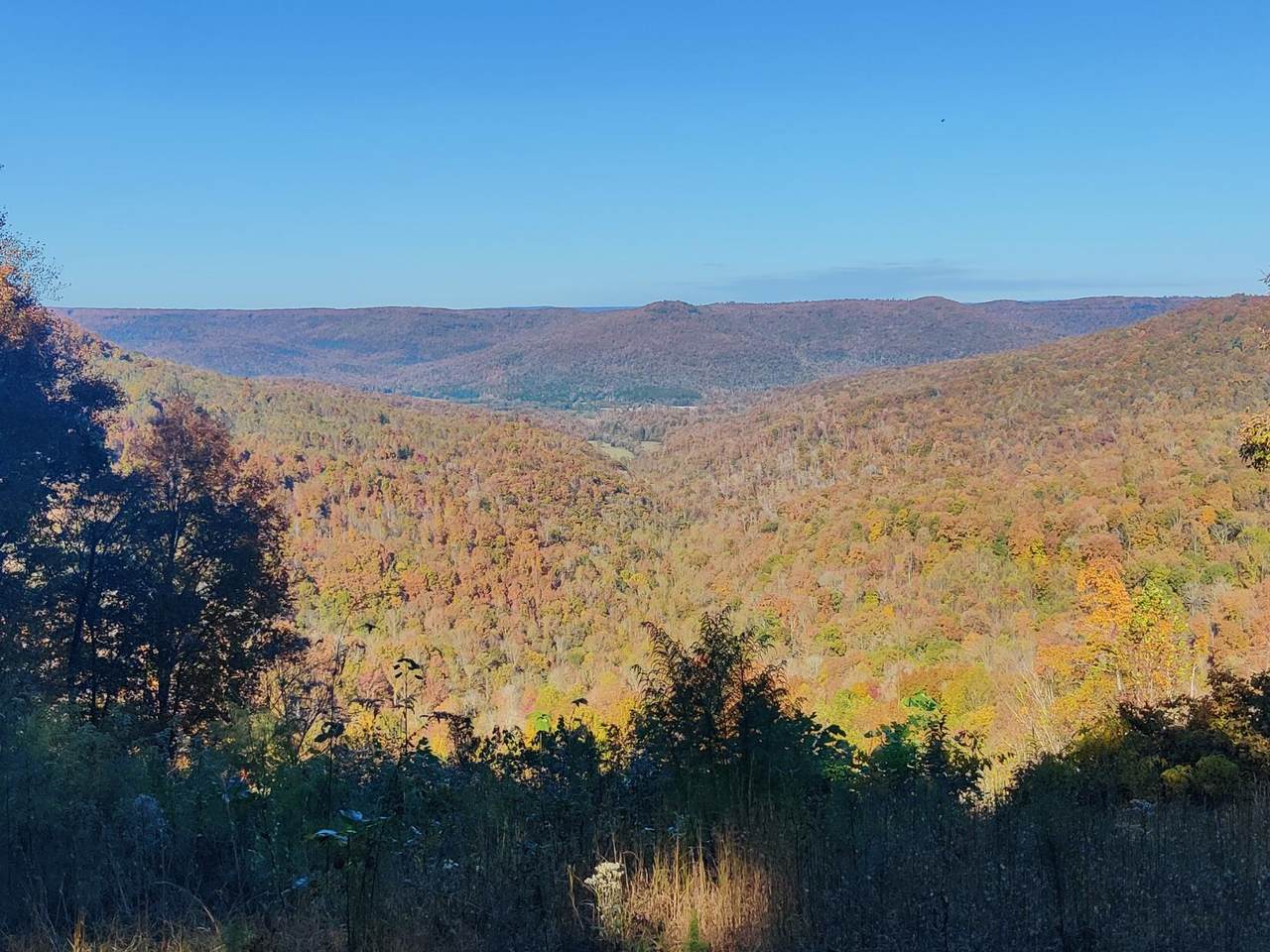 16.9 Pittsburg Mountain Rd - Photo 1