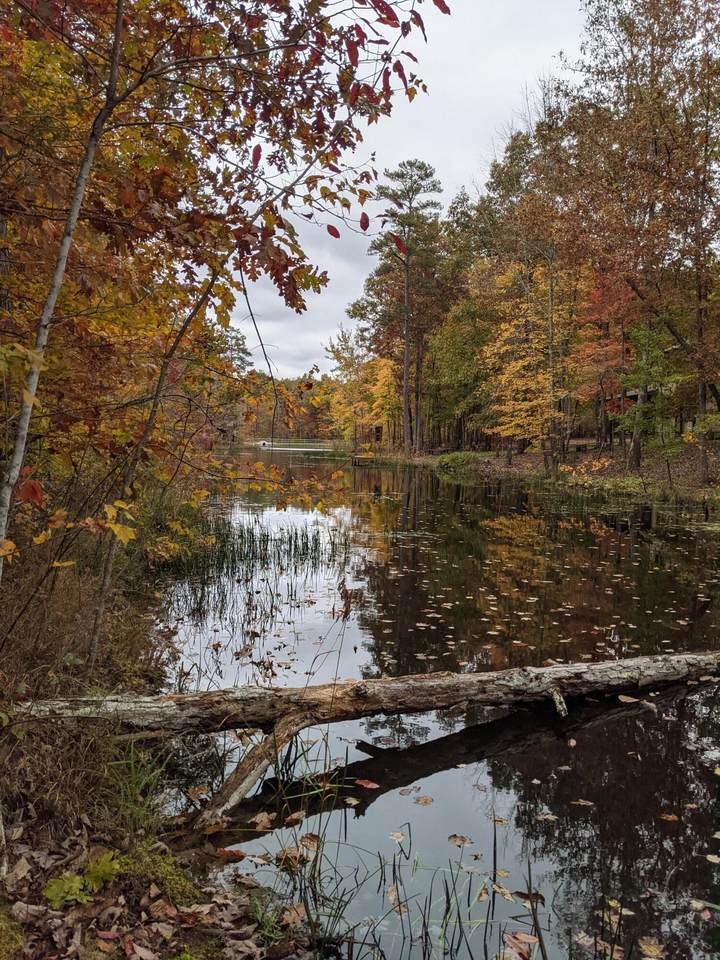 0 Beechwood Tr - Photo 1