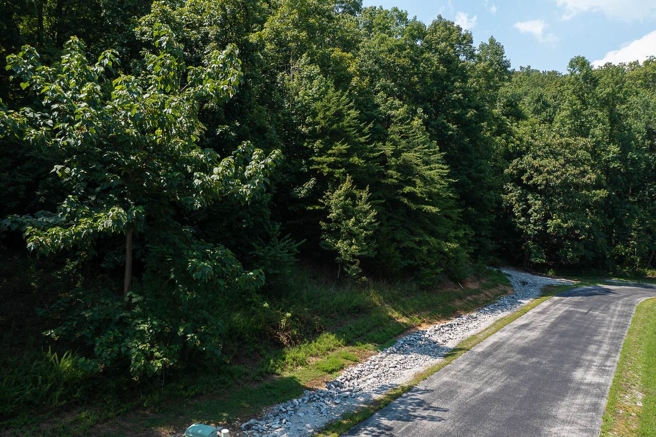 0 Emerald Pointe Cir - Photo 1