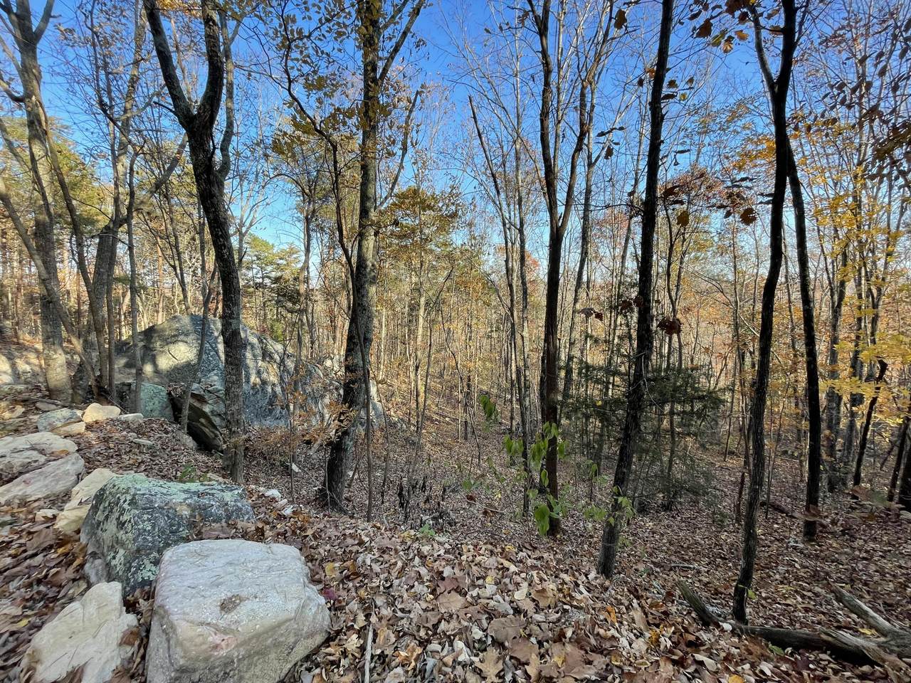0 Pine Hill Rd - Photo 1