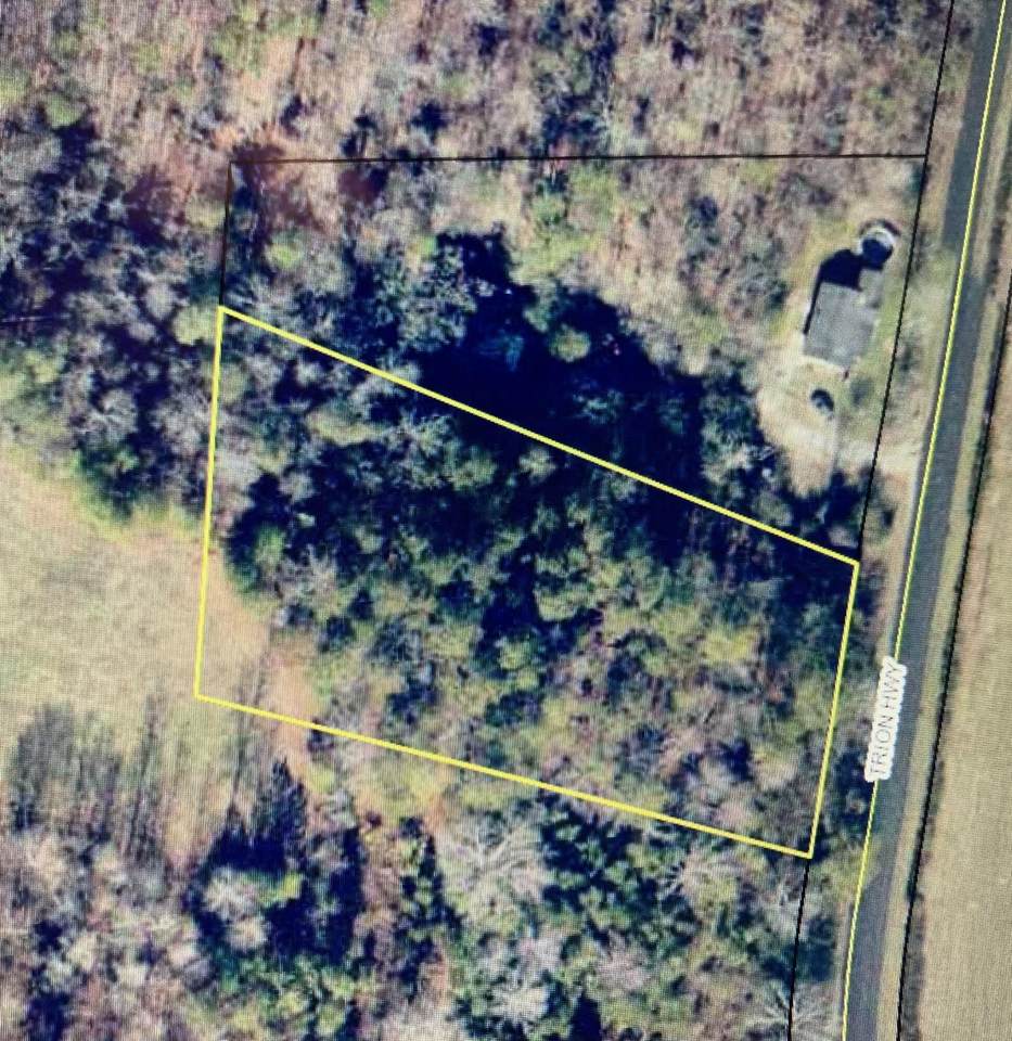 0 Trion Hwy - Photo 1