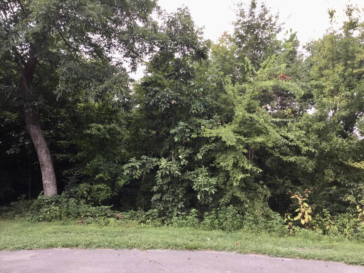 https://bt-photos.global.ssl.fastly.net/chattanooga/orig_boomver_3_1356533-2.jpg
