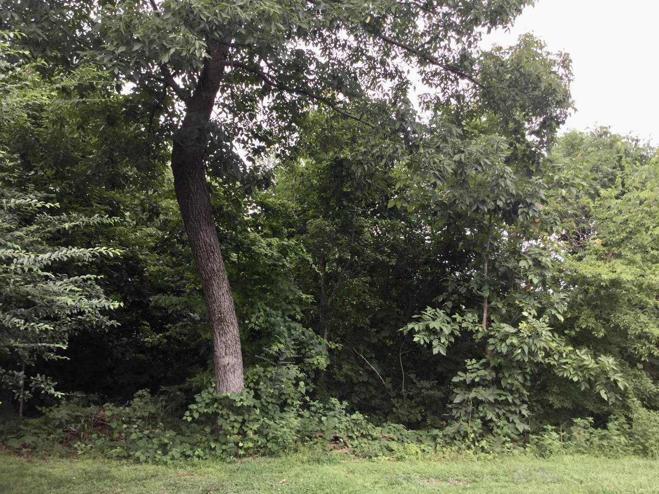 https://bt-photos.global.ssl.fastly.net/chattanooga/orig_boomver_3_1356533-2.jpg