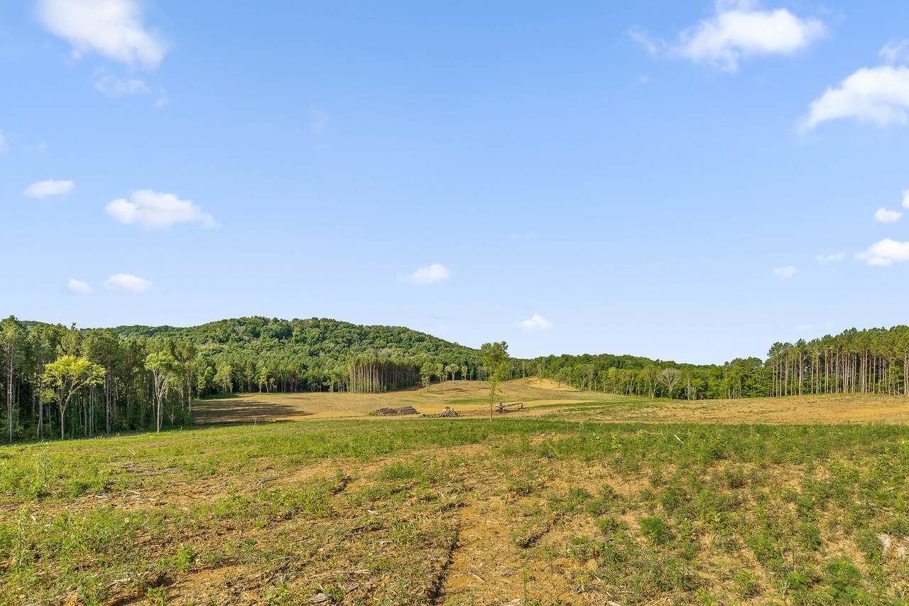 8590 Highway 60 - Photo 1