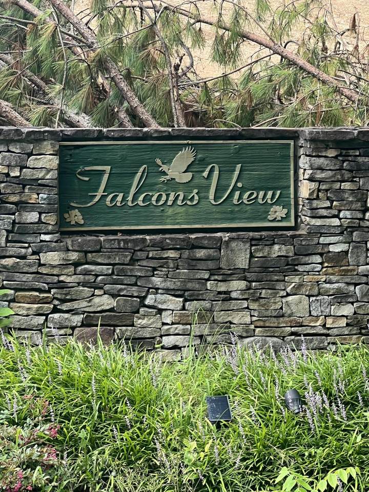 0 Falcon's View Dr - Photo 1