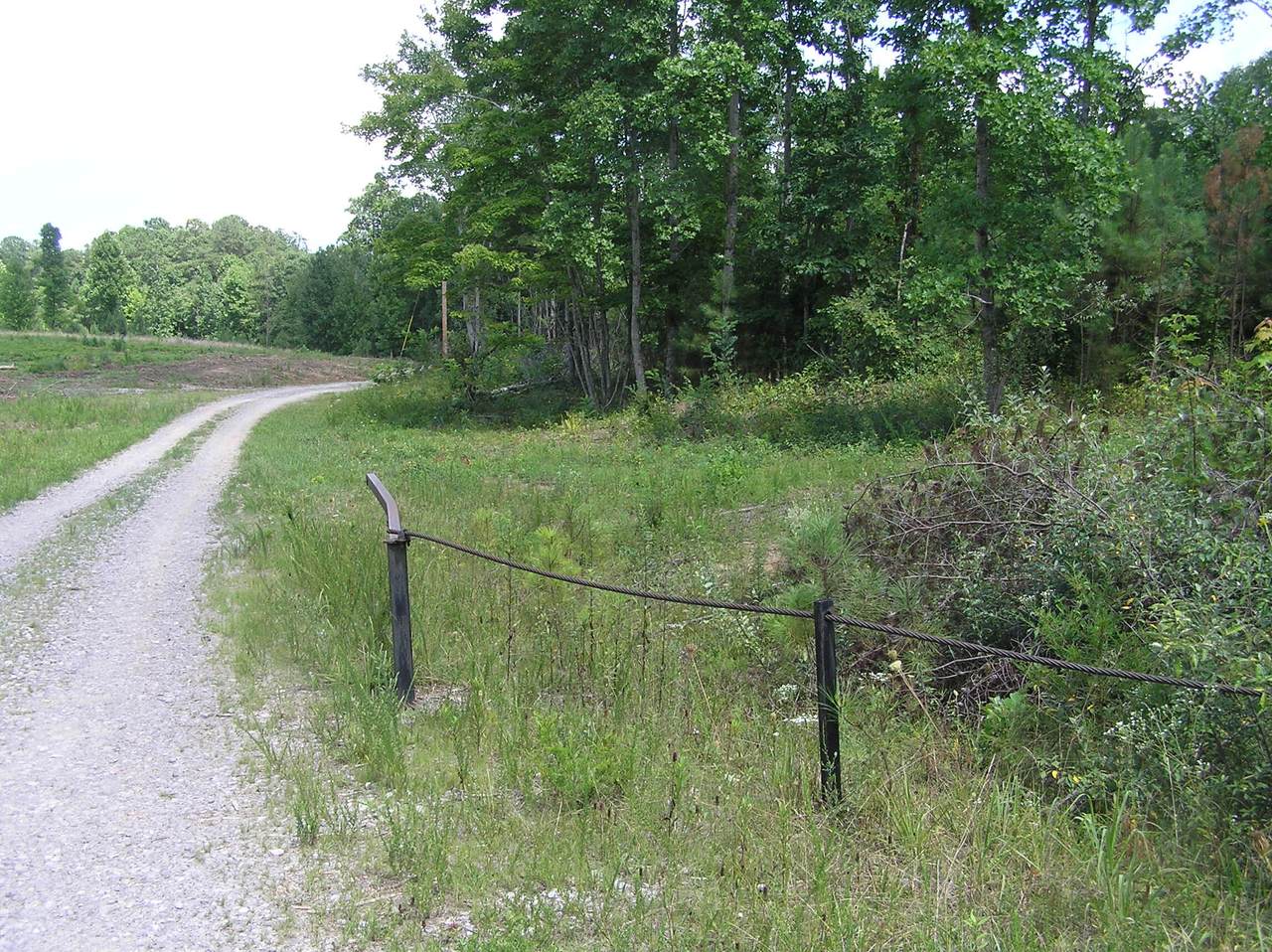 https://bt-photos.global.ssl.fastly.net/chattanooga/1280_boomver_2_1360382-2.jpg